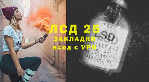 СК Пересвет