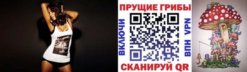 omg tor  Костерёво  Псилоцибиновые грибы MAGIC MUSHROOMS  где купить  